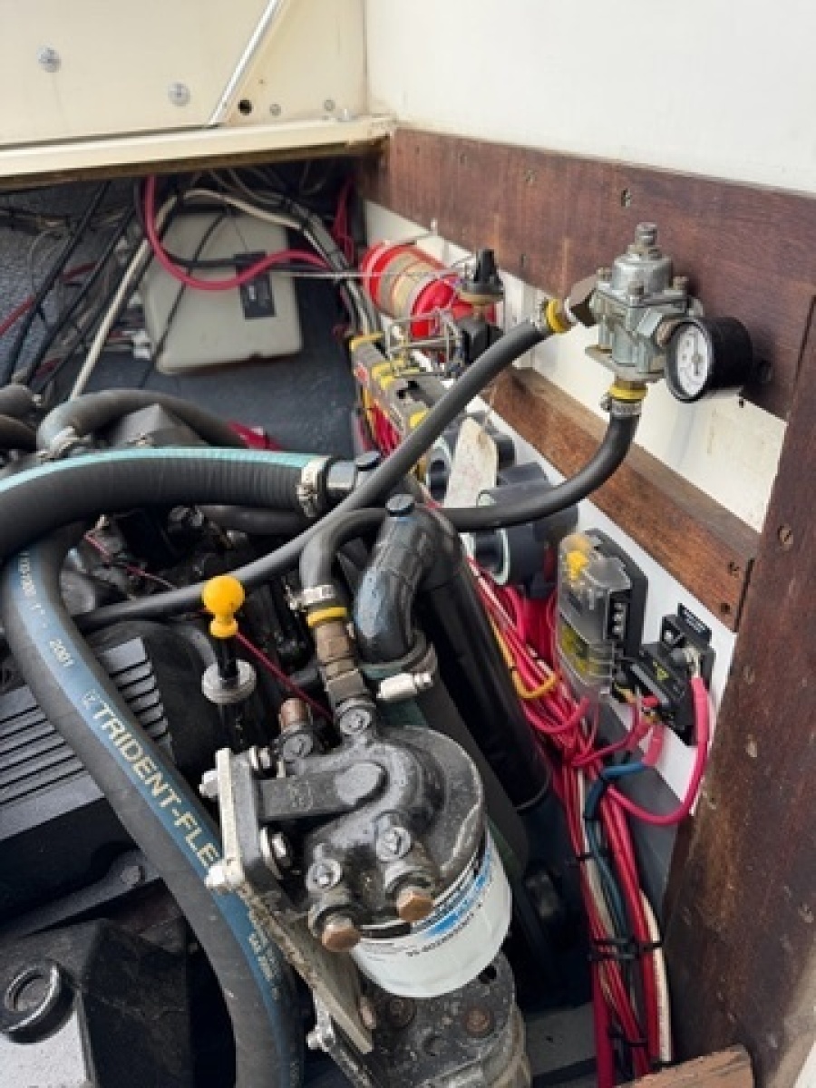 1972 Bertram 31