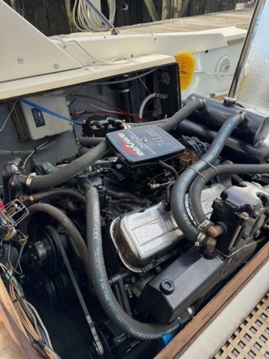 1972 Bertram 31