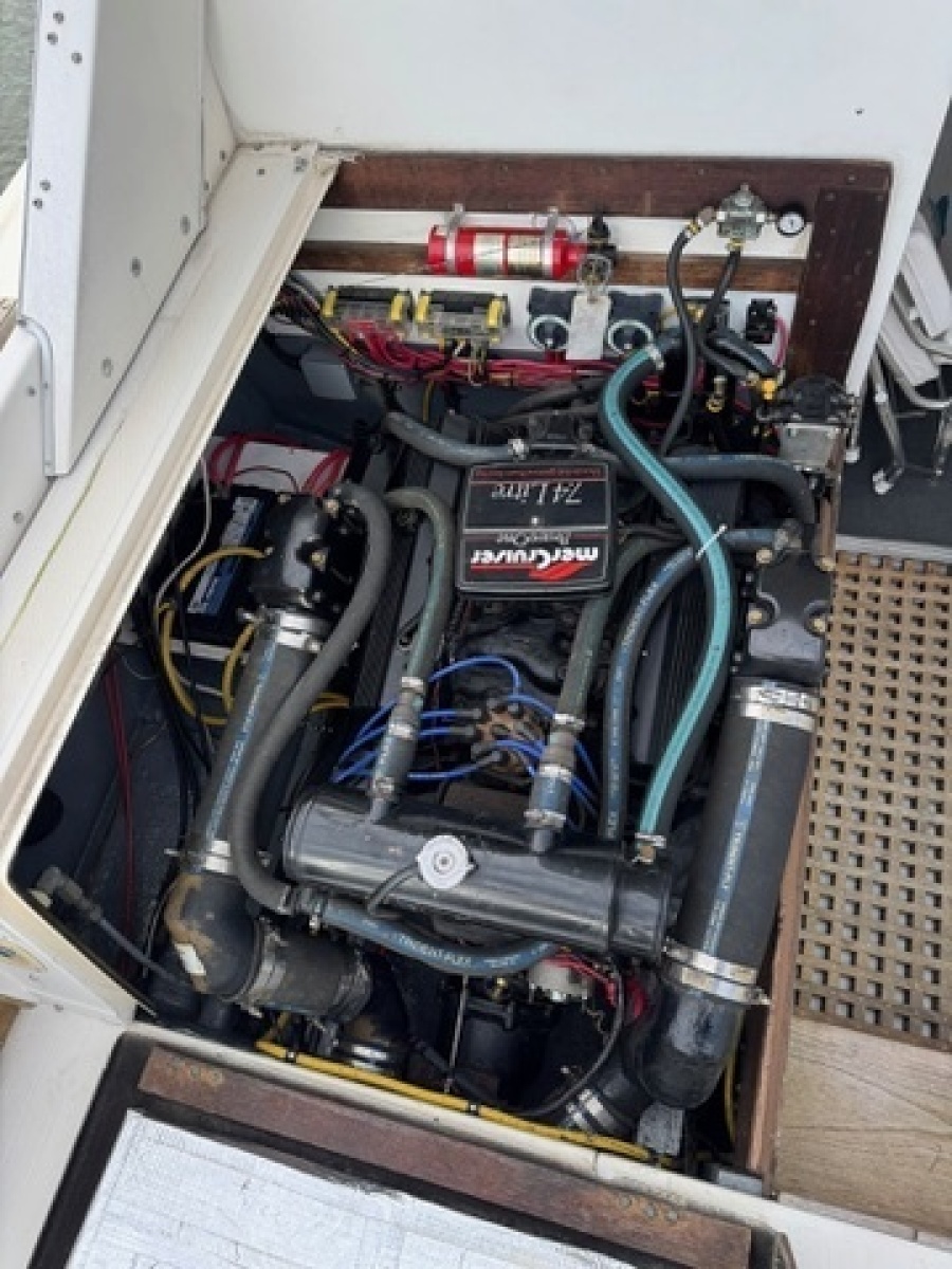 1972 Bertram 31