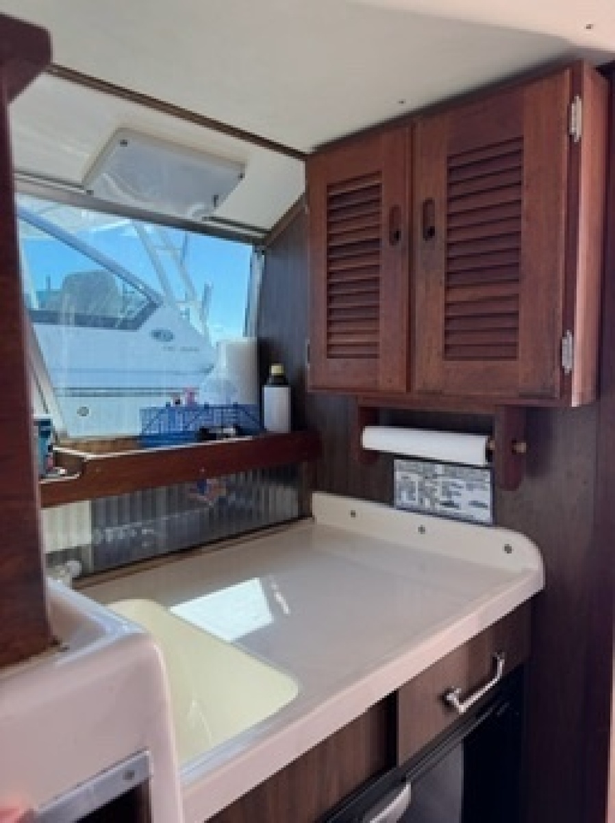 1972 Bertram 31