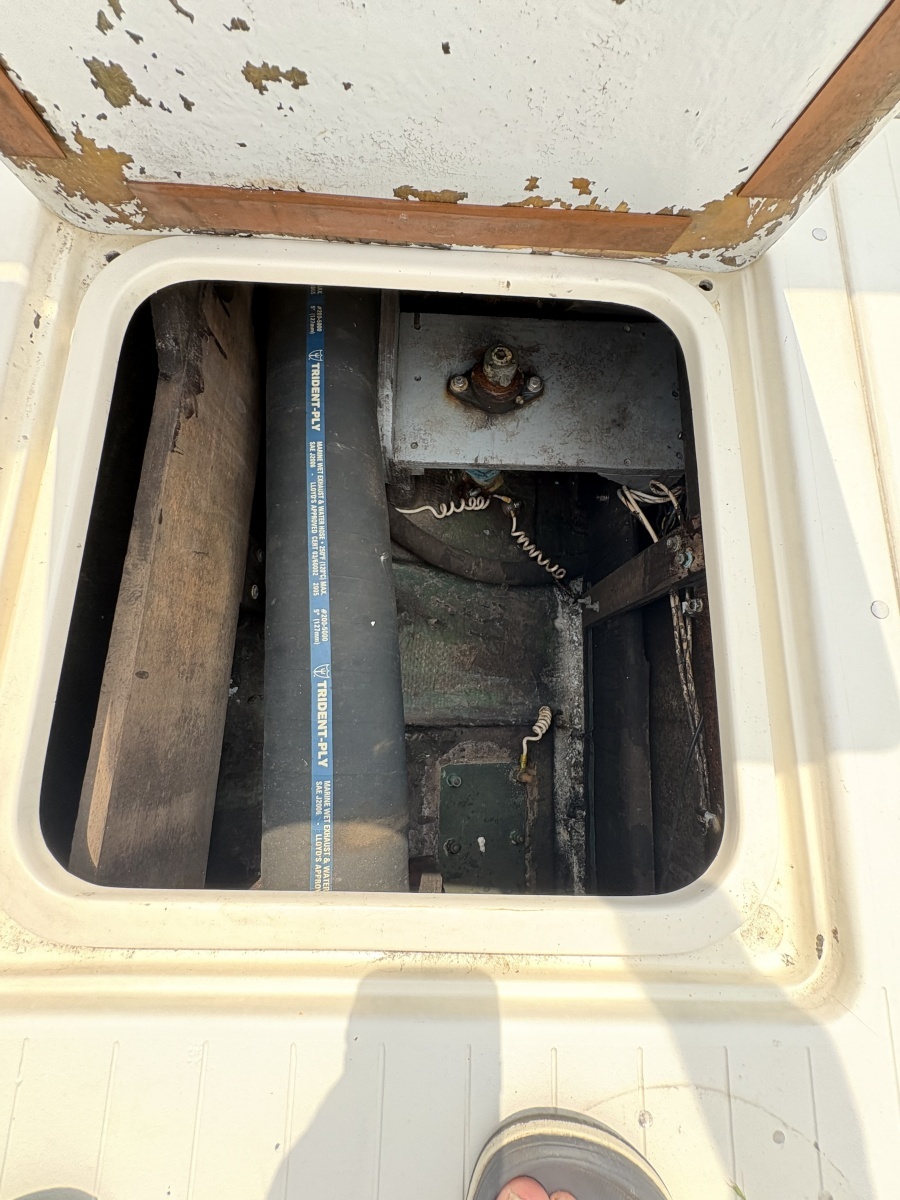 1972 Bertram 31