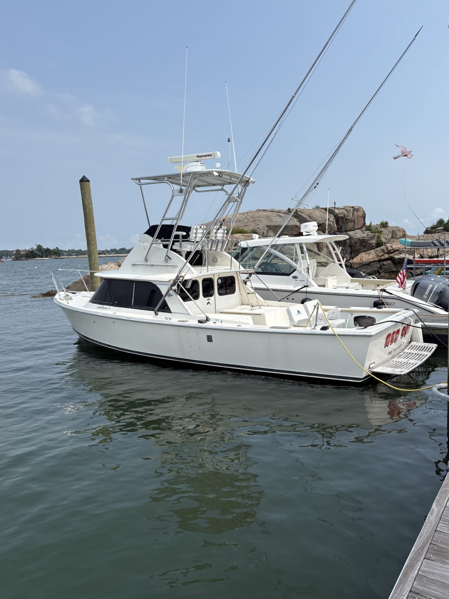 1972 Bertram 31