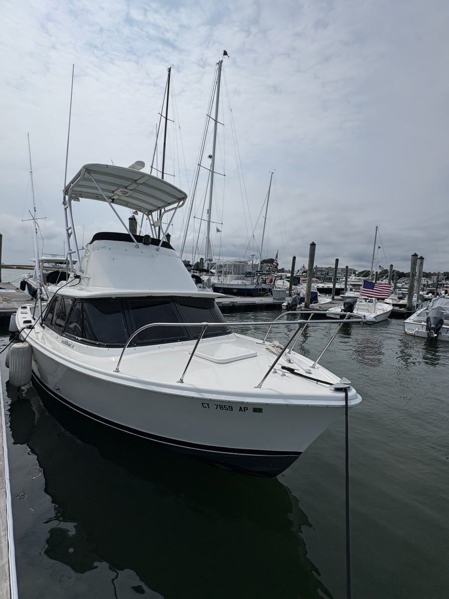 1972 Bertram 31