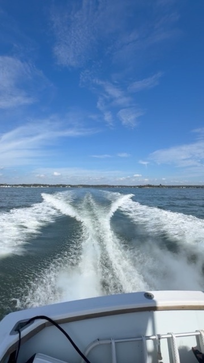 1972 Bertram 31