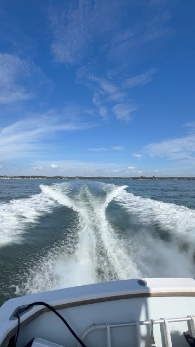 1972 Bertram 31