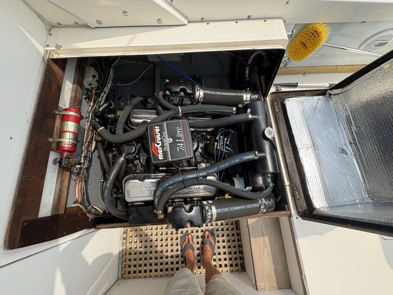 1972 Bertram 31