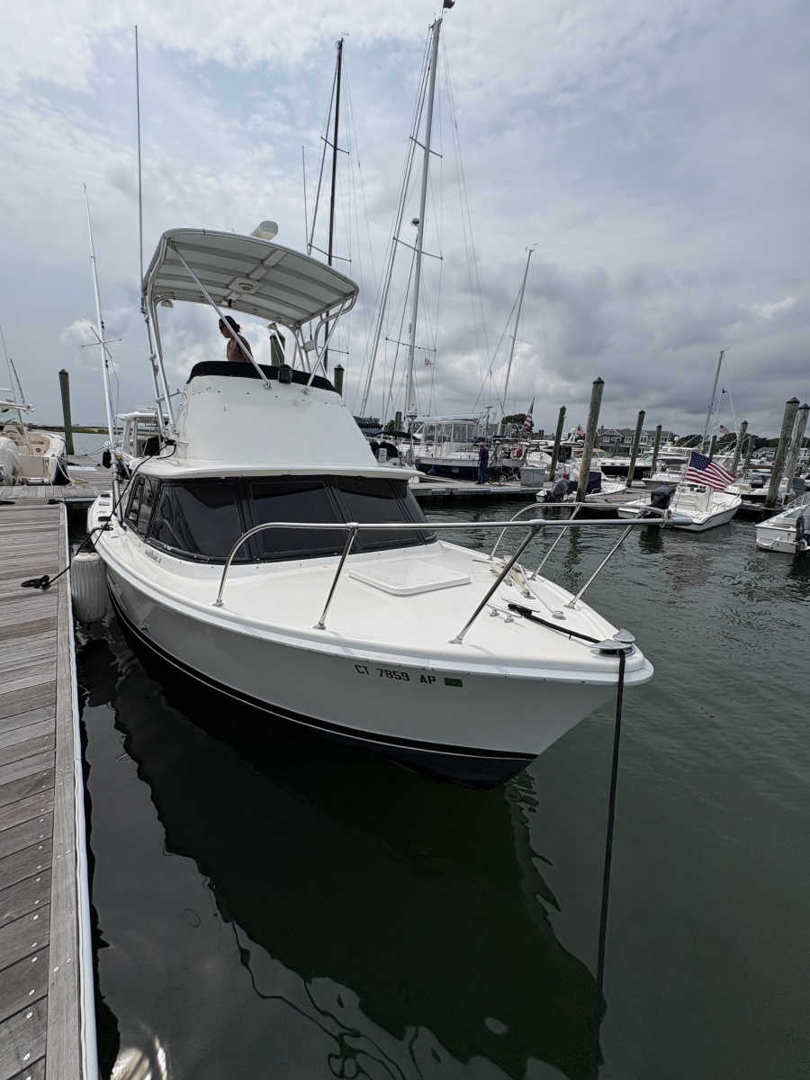 1972 Bertram 31