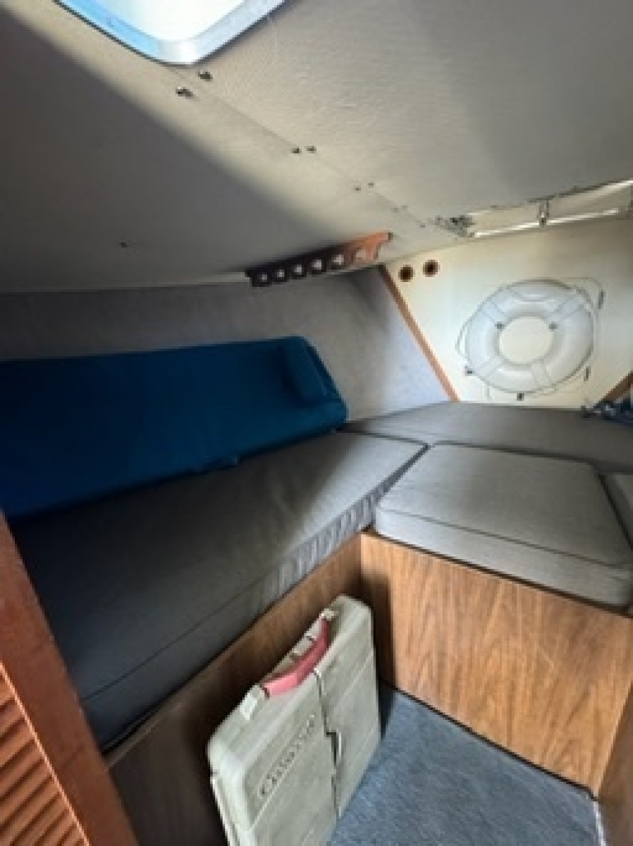 1972 Bertram 31