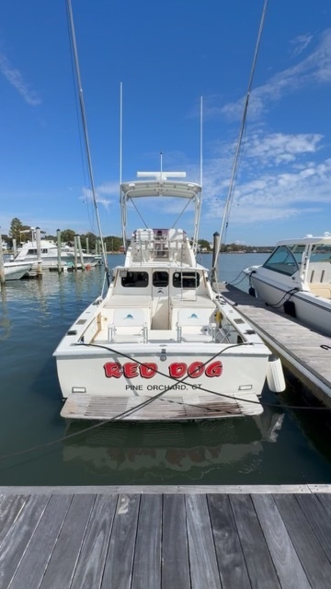 1972 Bertram 31