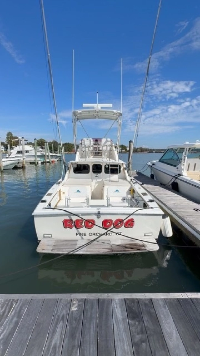 1972 Bertram 31