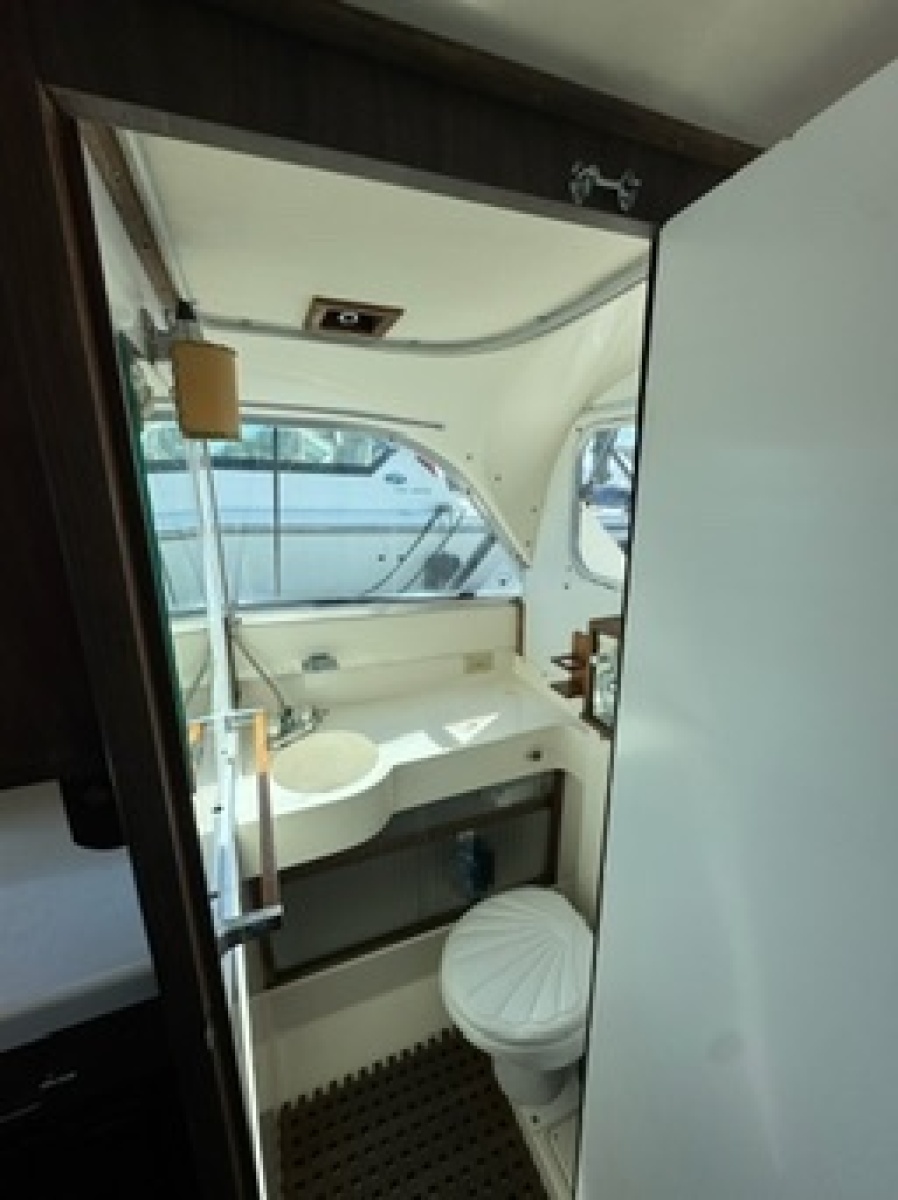 1972 Bertram 31