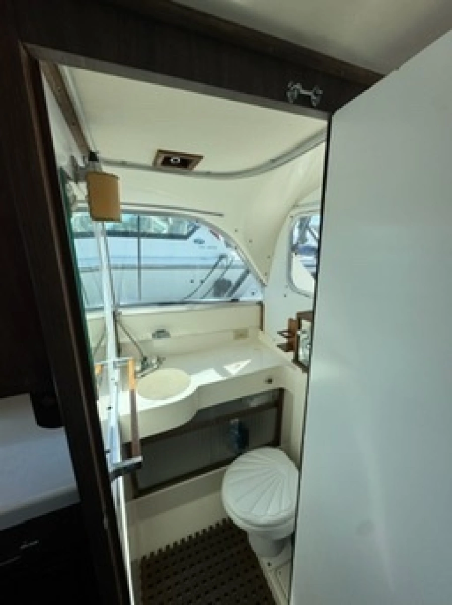 1972 Bertram 31
