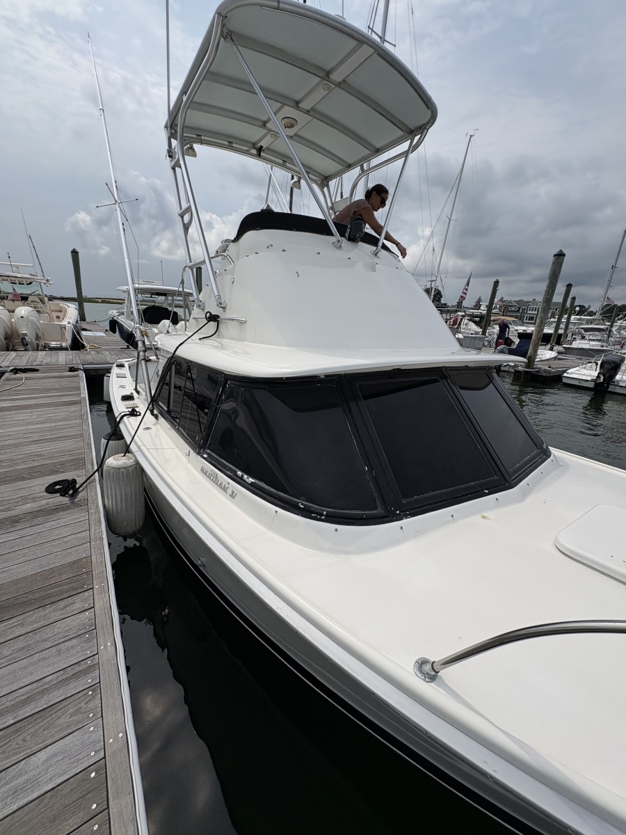 1972 Bertram 31