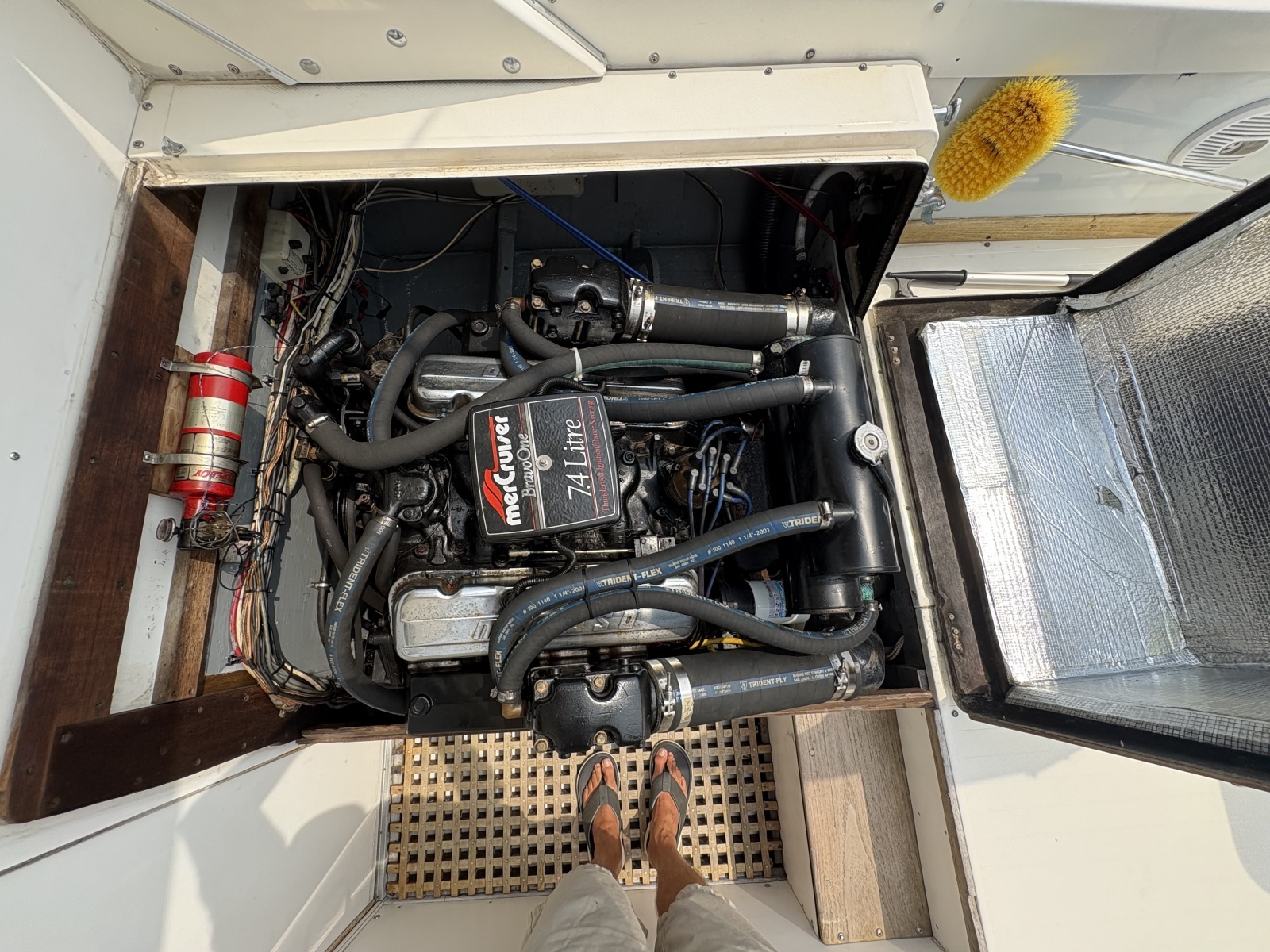 1972 Bertram 31