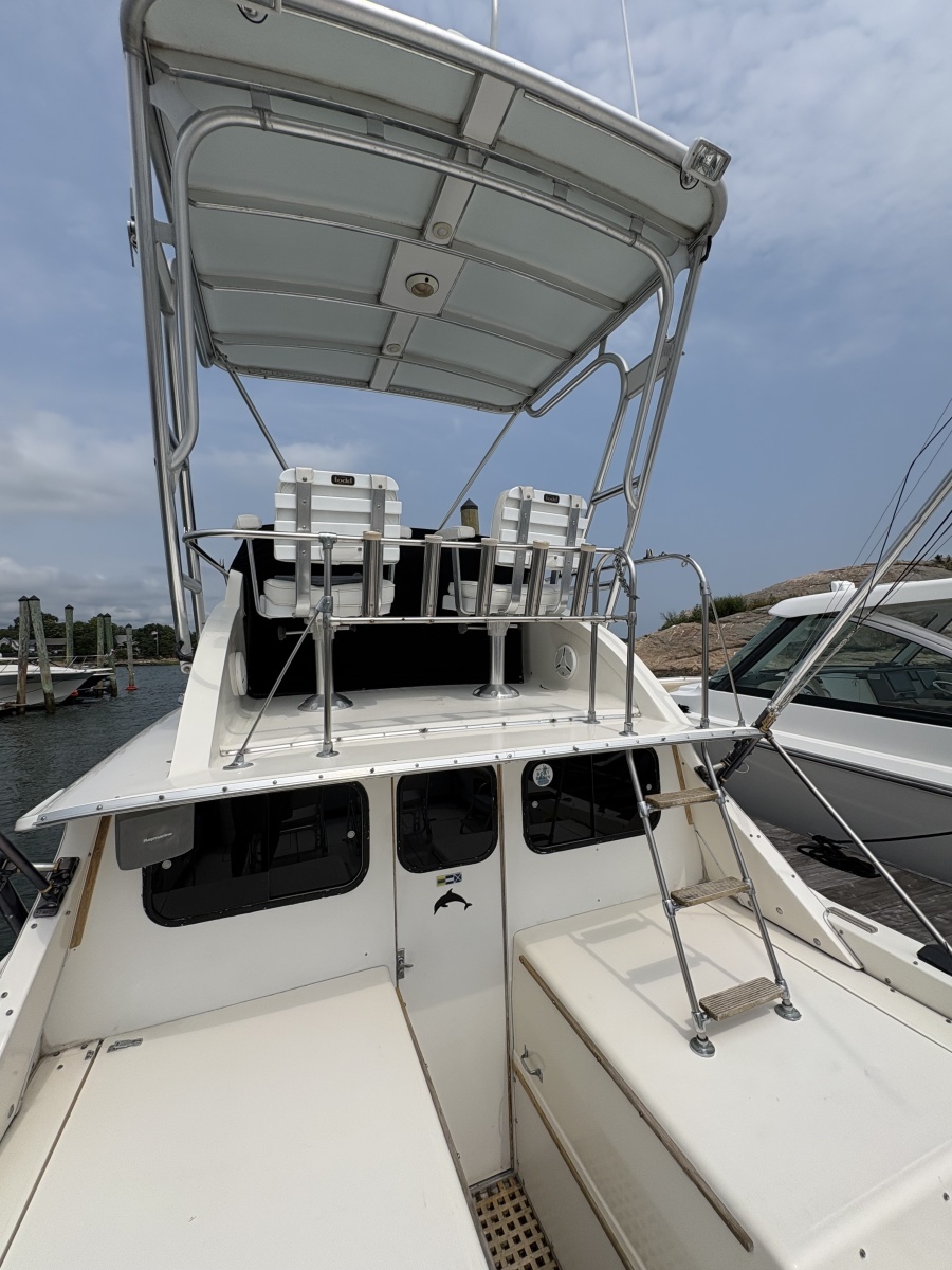 1972 Bertram 31