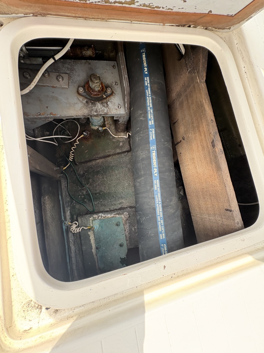 1972 Bertram 31
