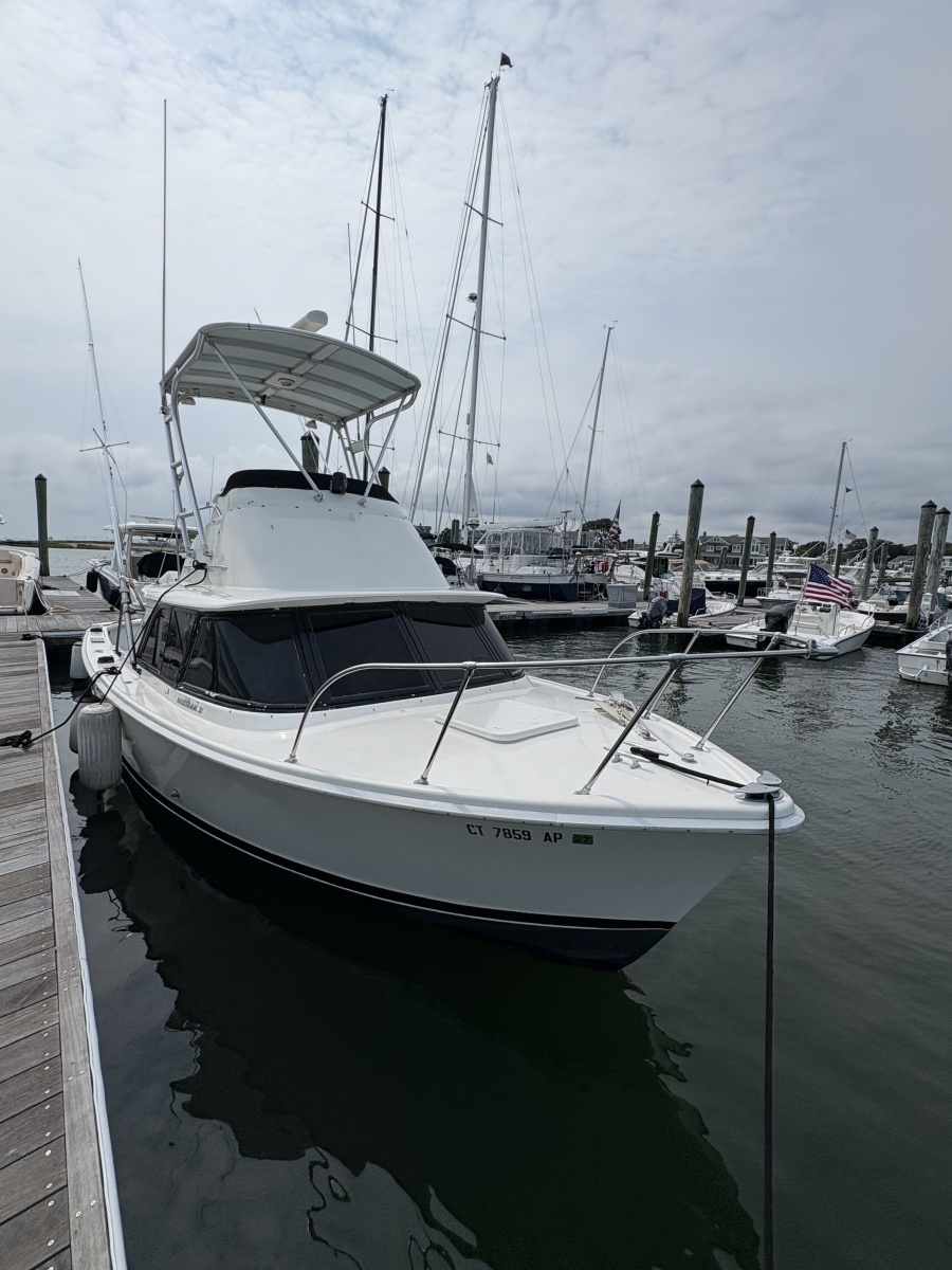1972 Bertram 31