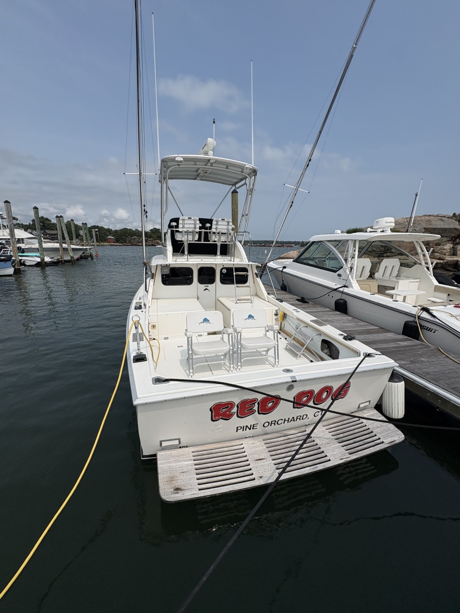 1972 Bertram 31