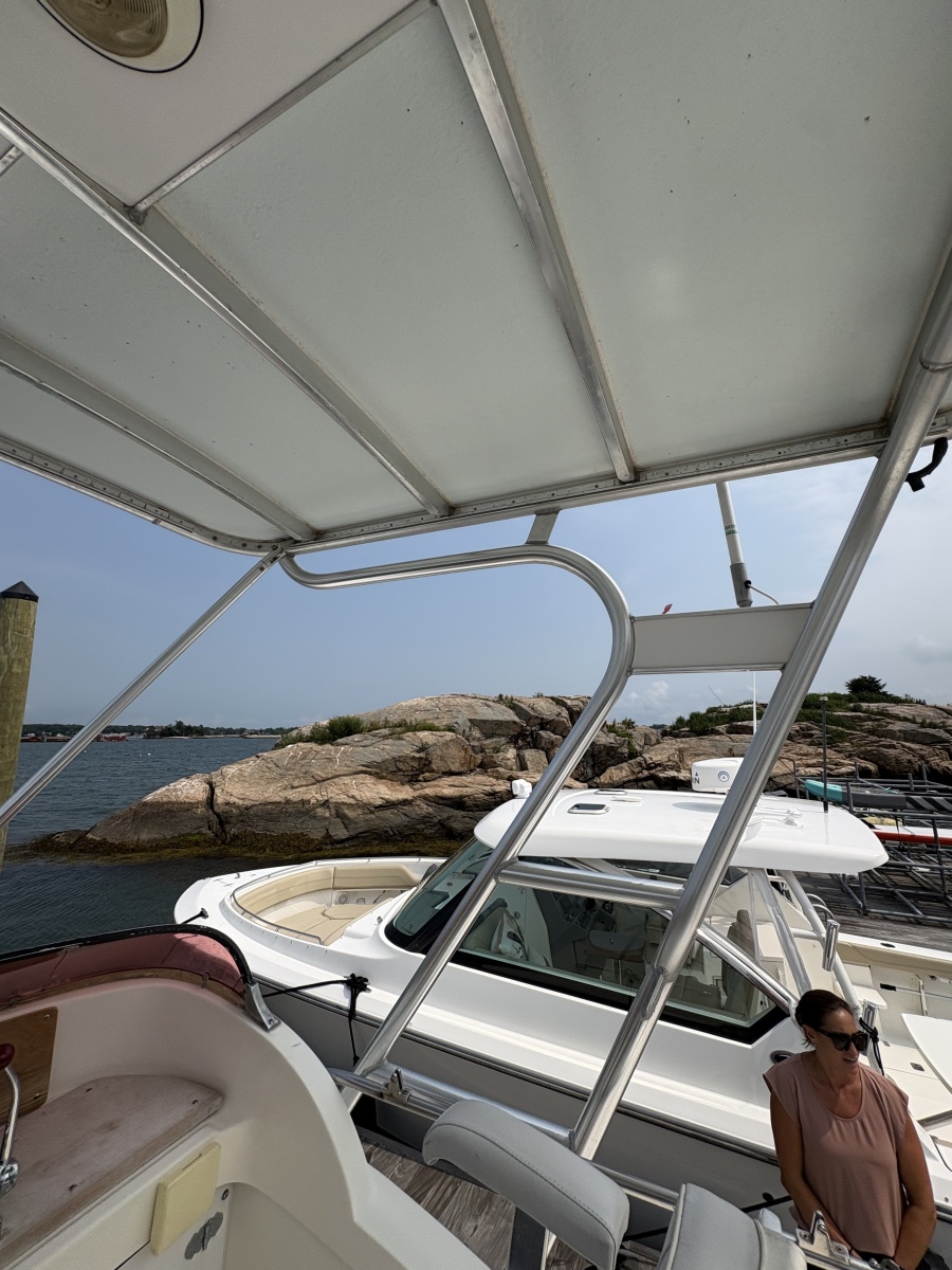 1972 Bertram 31