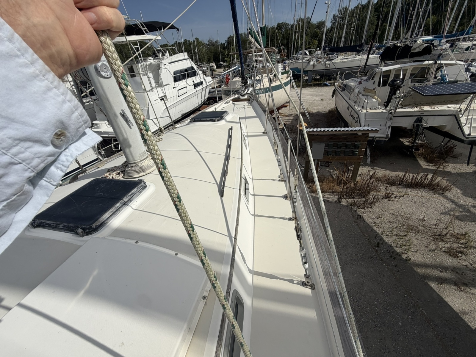 PANACEA 42ft Pearson Yacht For Sale