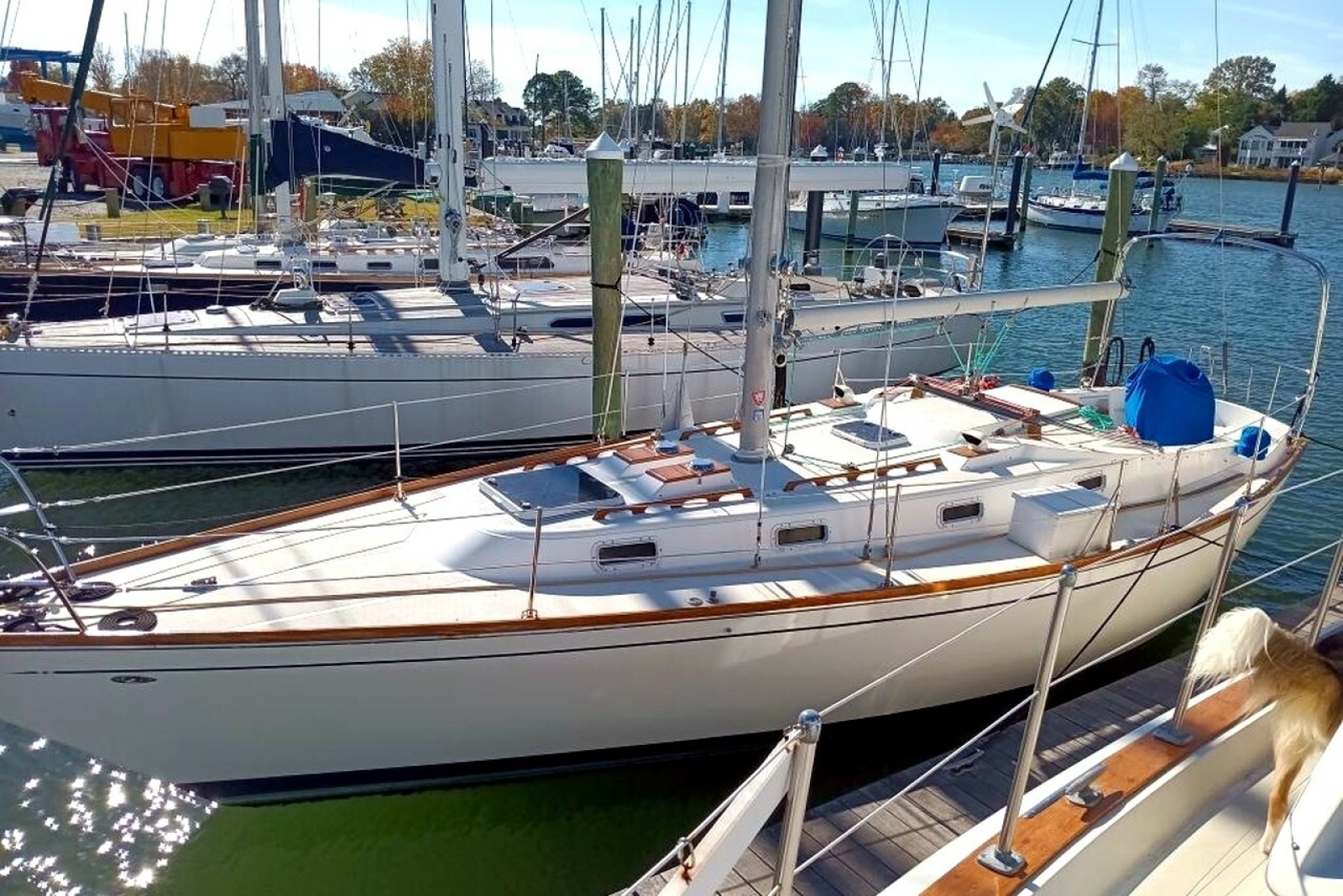 1980 Tartan 37
