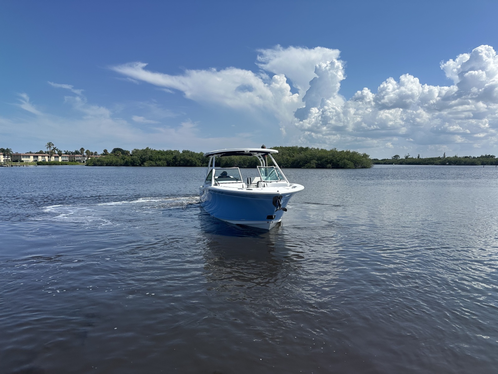 2024 Blackfin 272DC