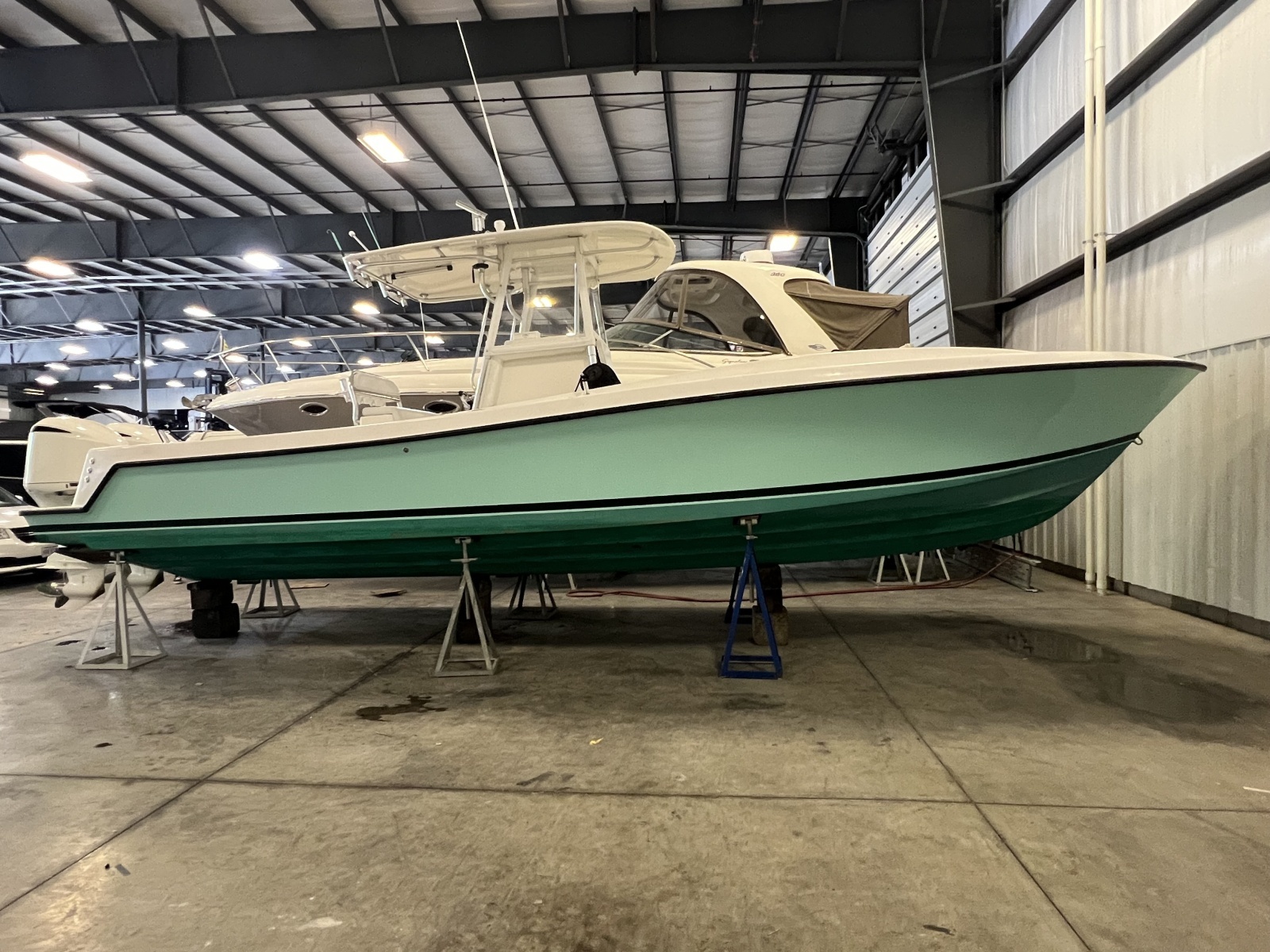2007 Contender 31