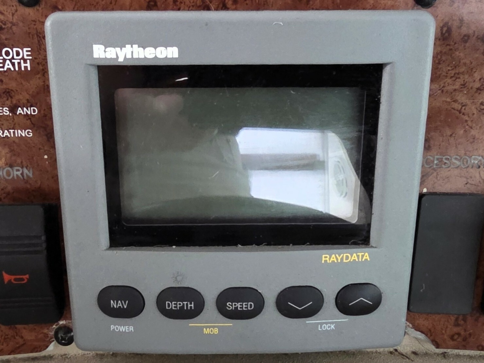 Helm  Raymarine RayData