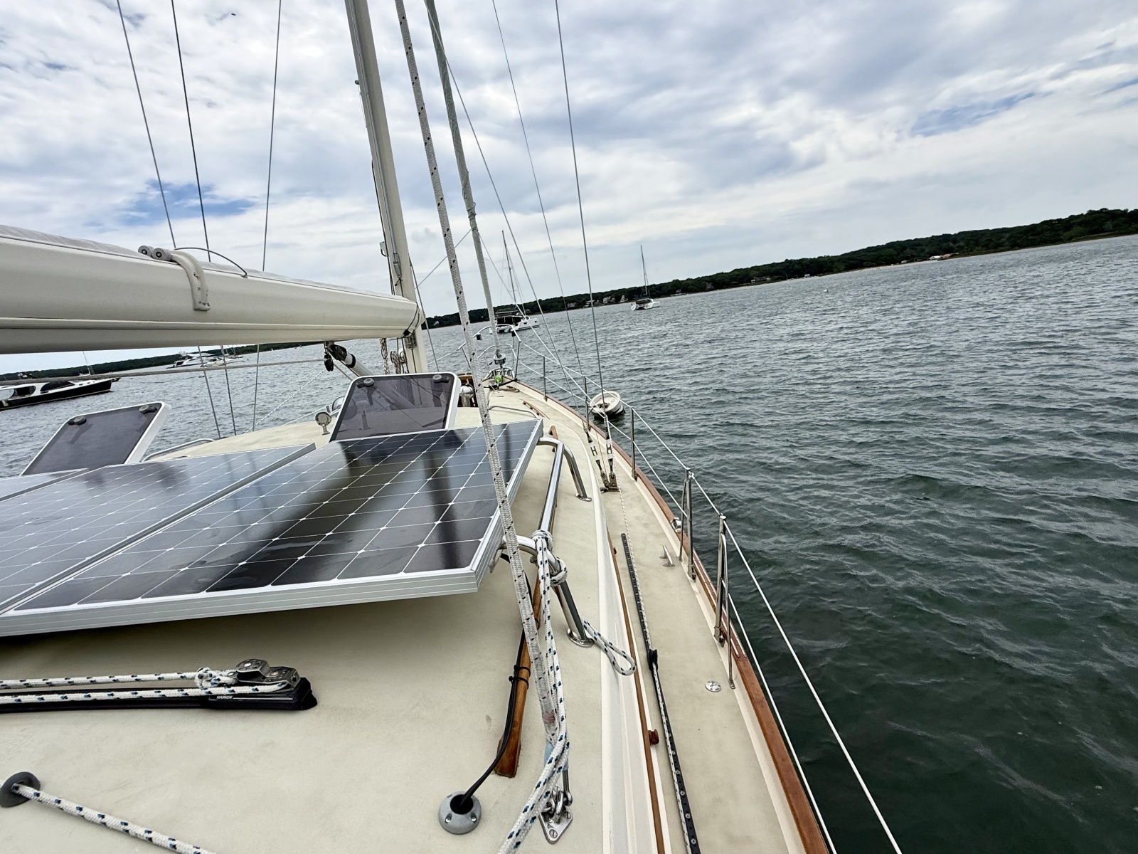 2001 Bruckmann 50