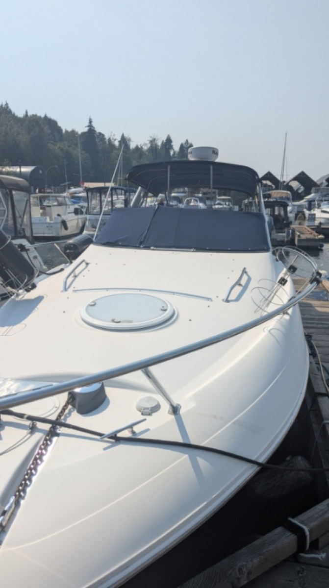 2010 Larson Cabrio 274
