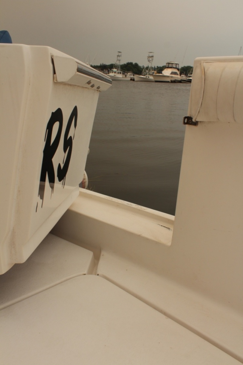 Transom Door
