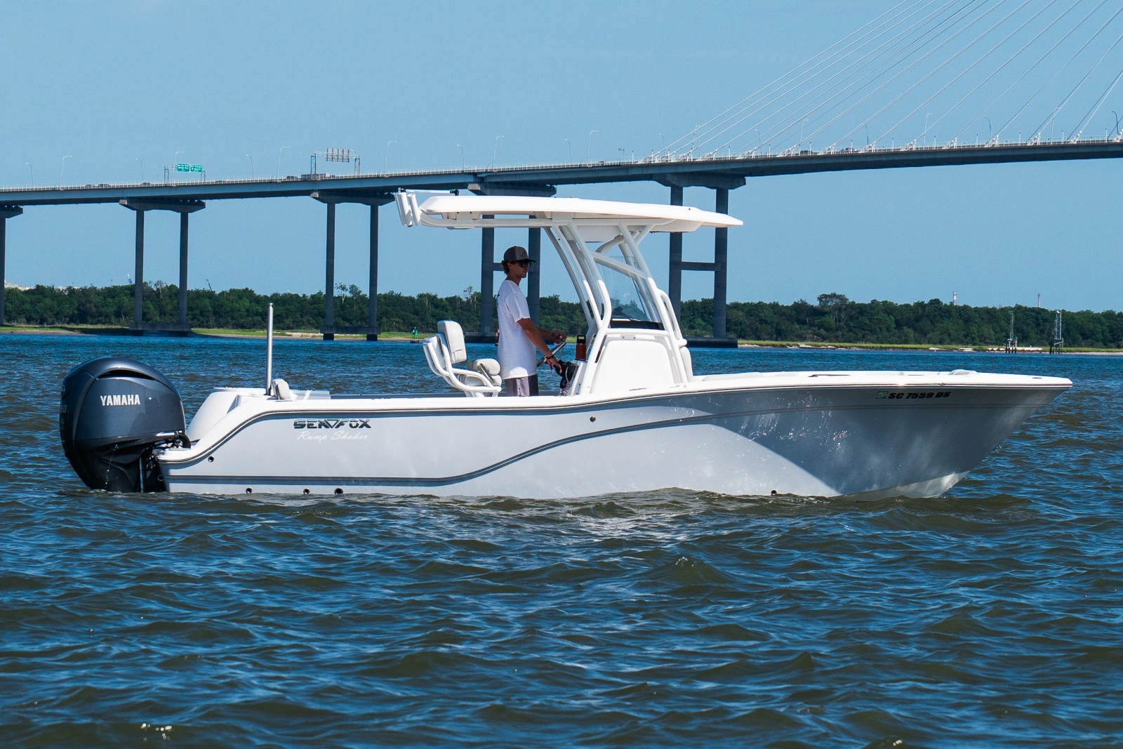 2022 Sea Fox 248 Commander