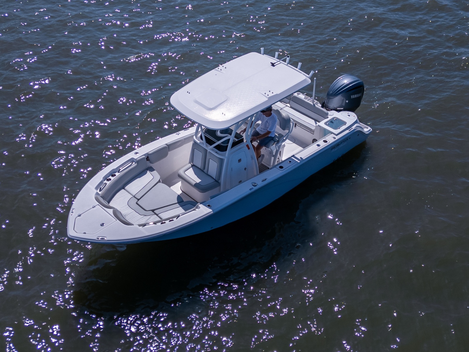 2022 Sea Fox 248 Commander