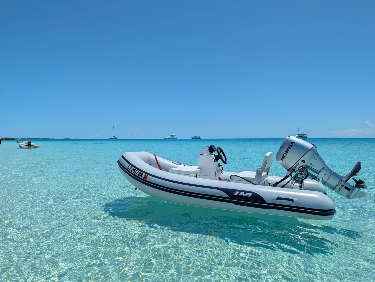 New Tender
