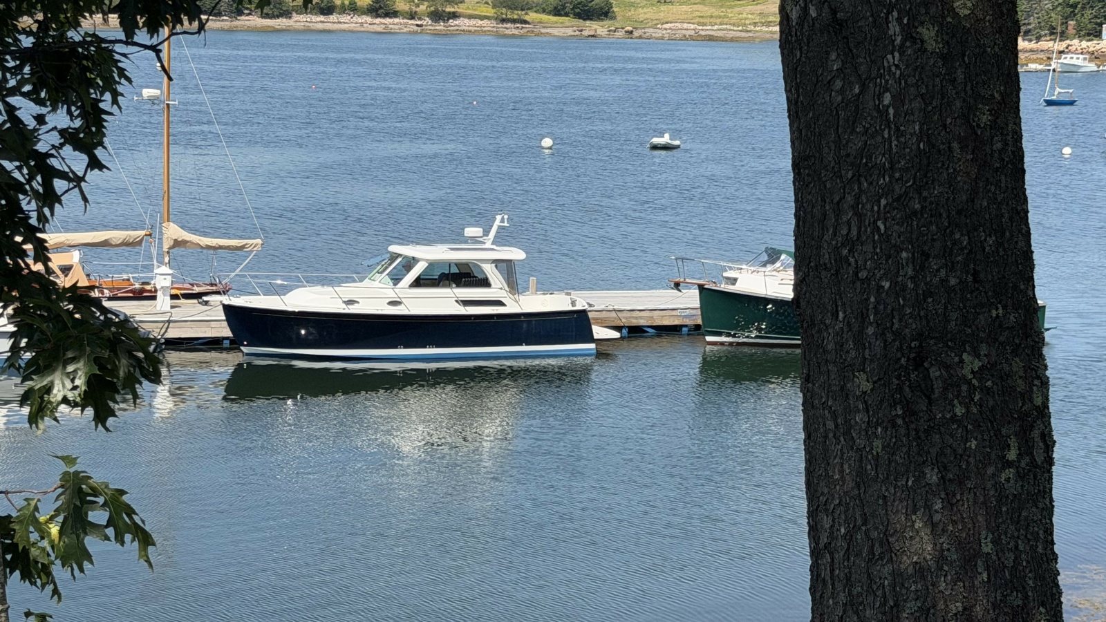 Liberty dockside2