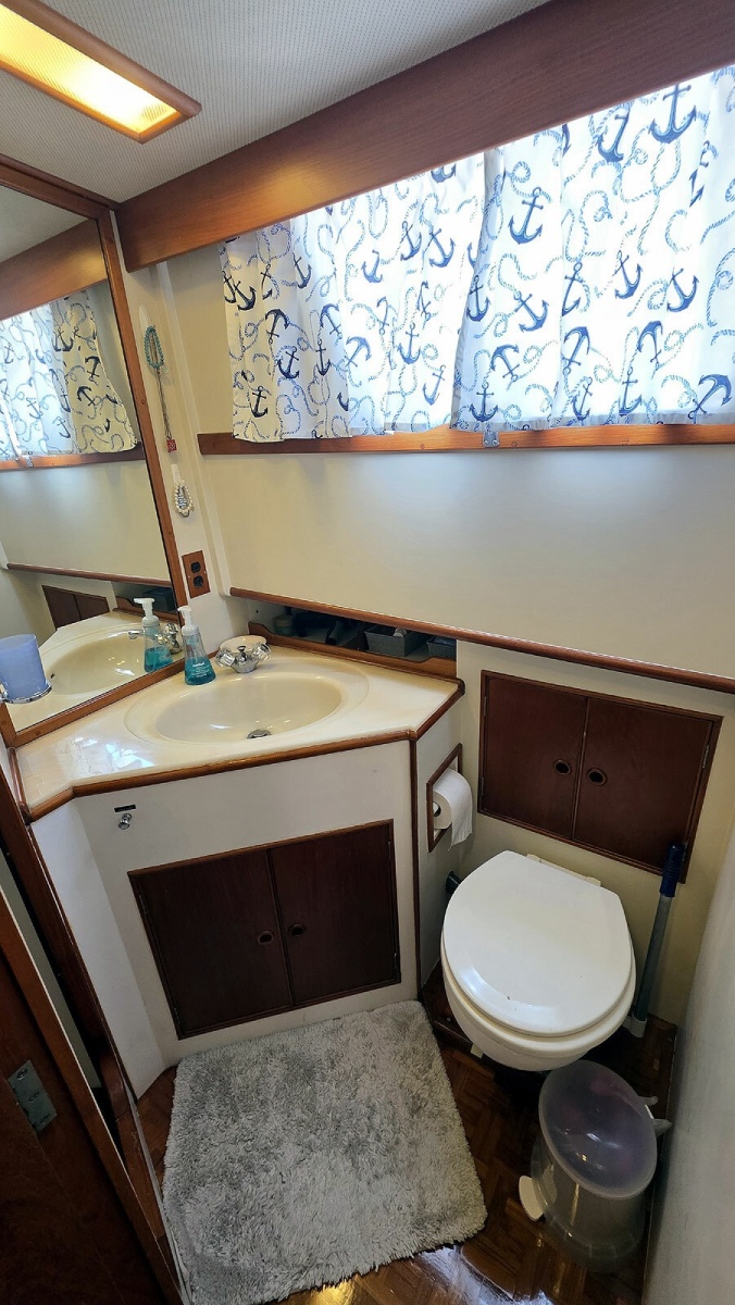 Master Head Vanity and Toilet
