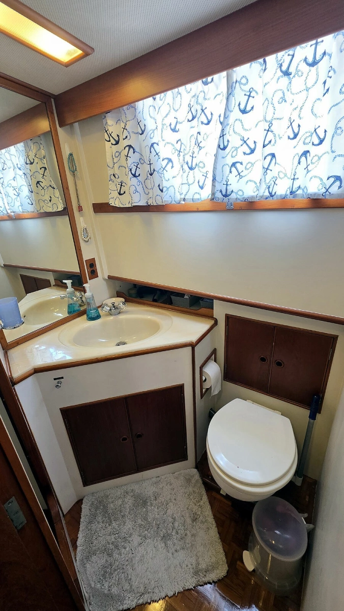 Master Head Vanity and Toilet