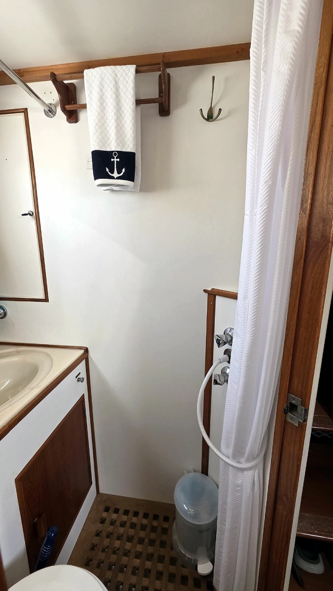 Guest Wet Head Shower