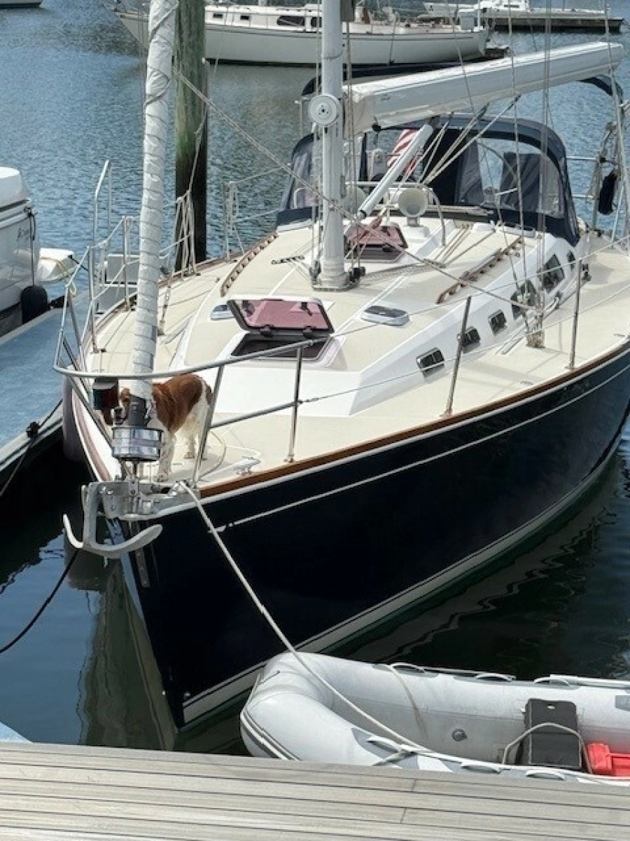 1998 Sabre 402