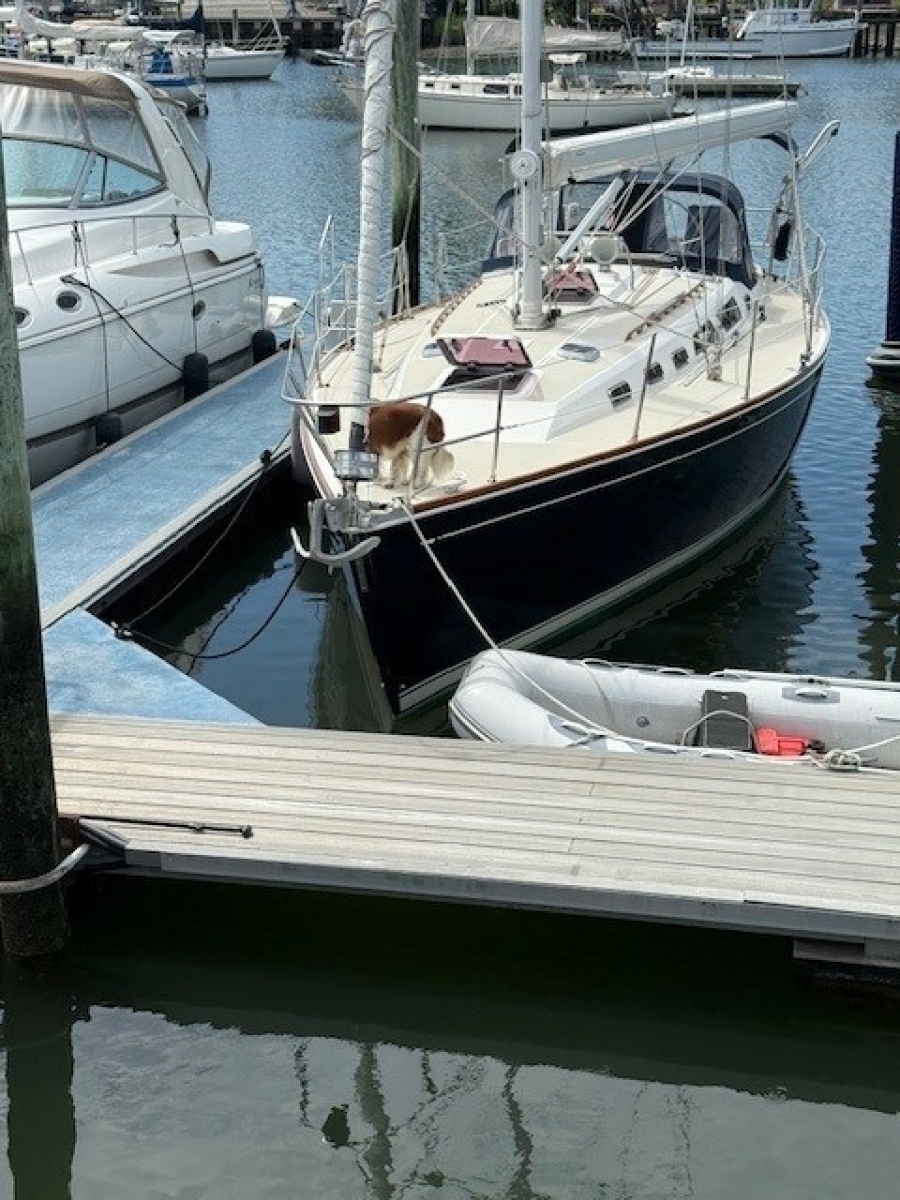 1998 Sabre 402
