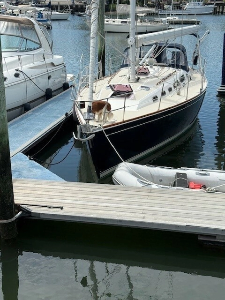 1998 Sabre 402