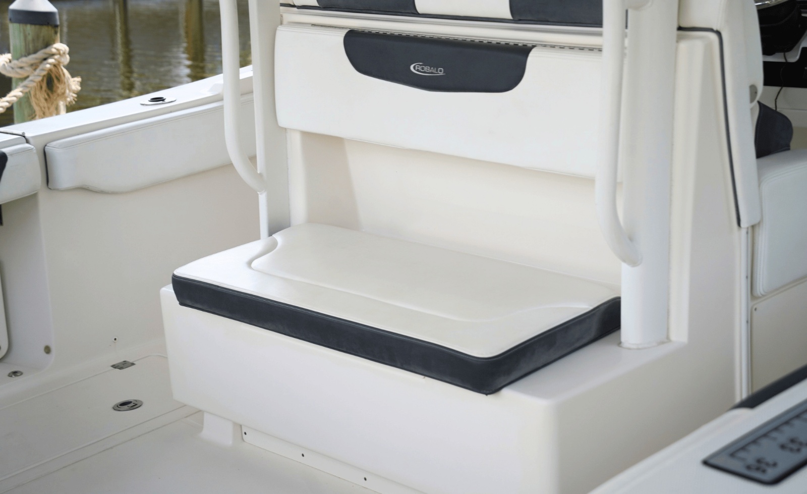 2020 Robalo 302
