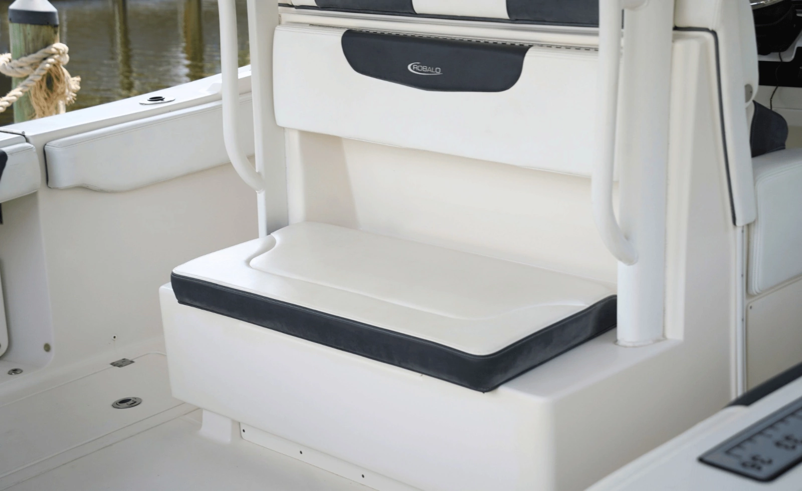 2020 Robalo 302