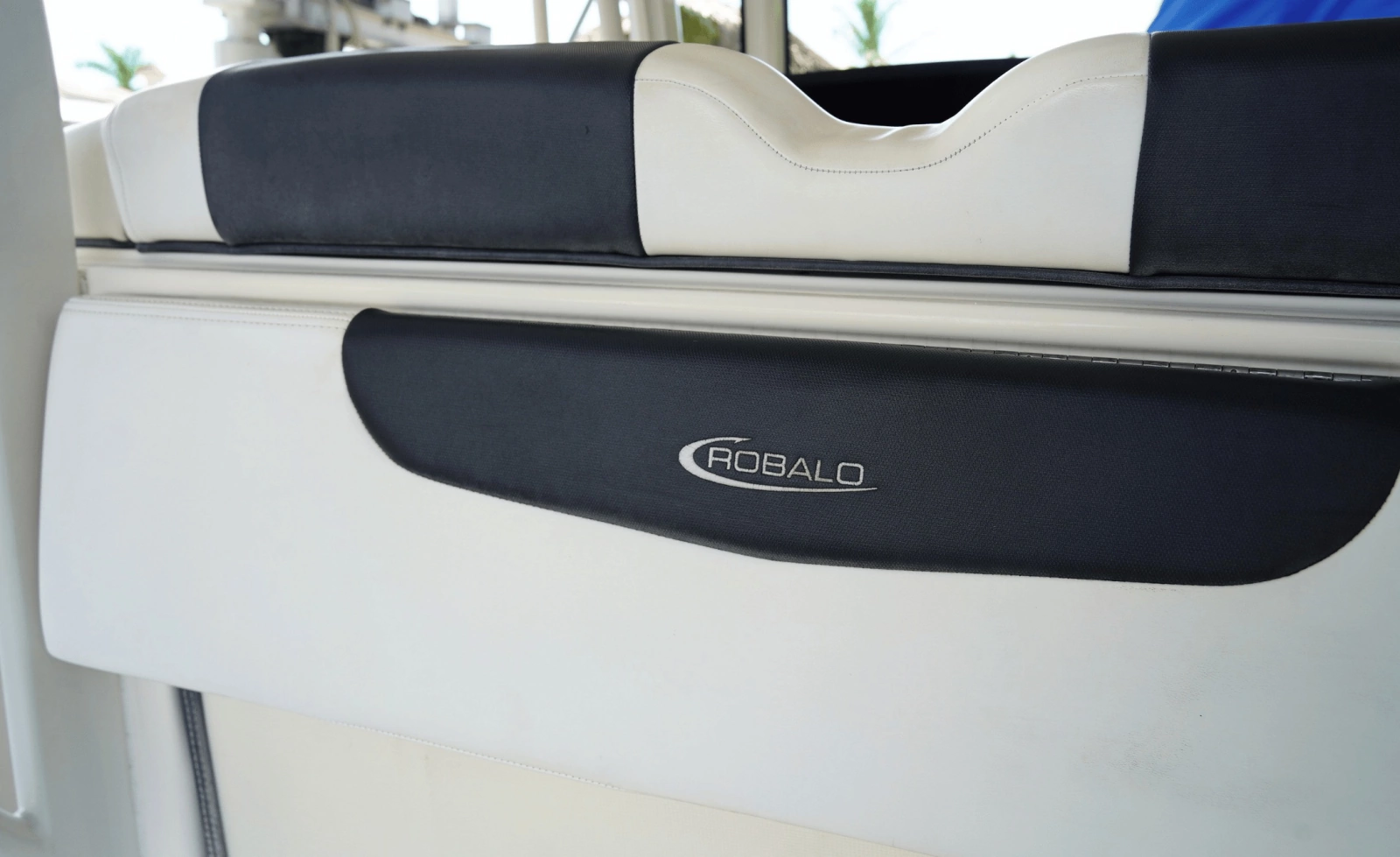2020 Robalo 302