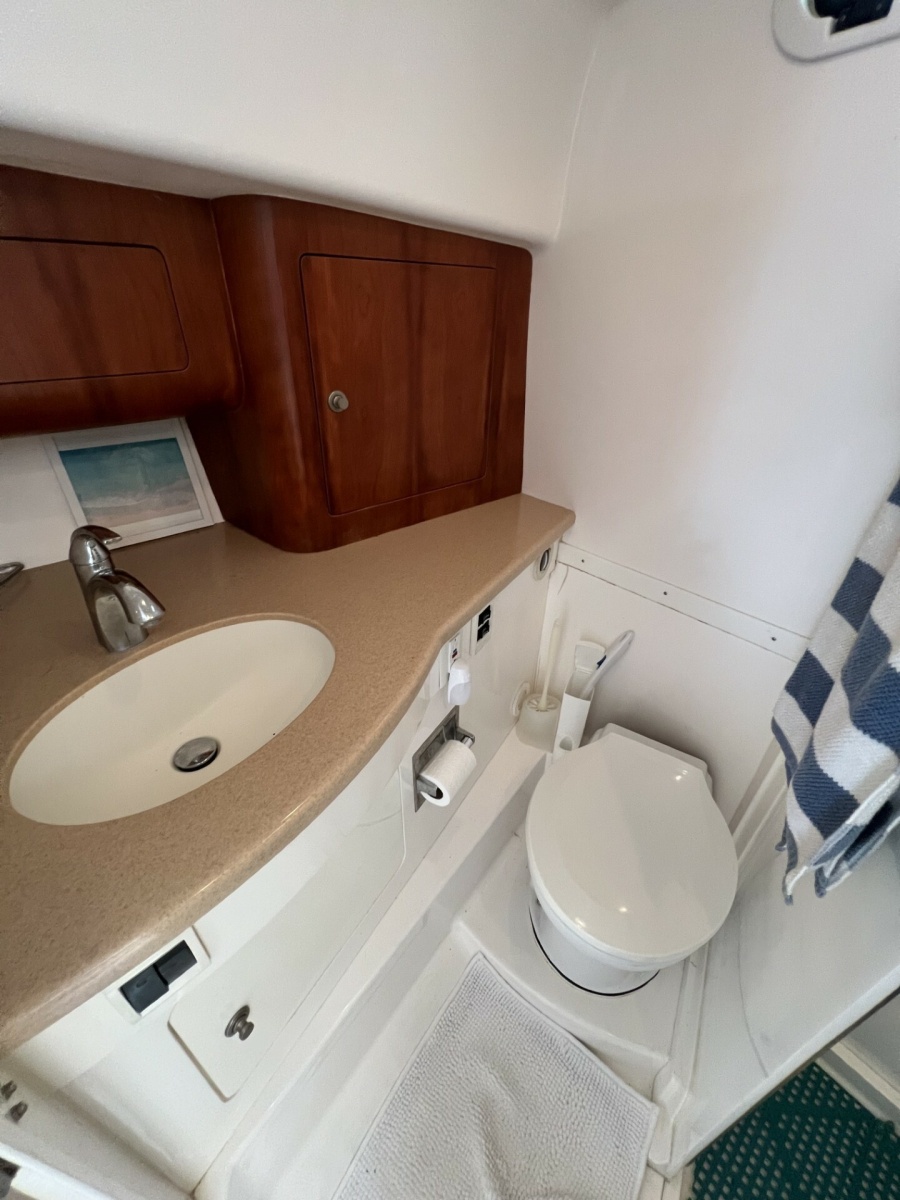 Intrepid 37 FINSURE - Interior Head