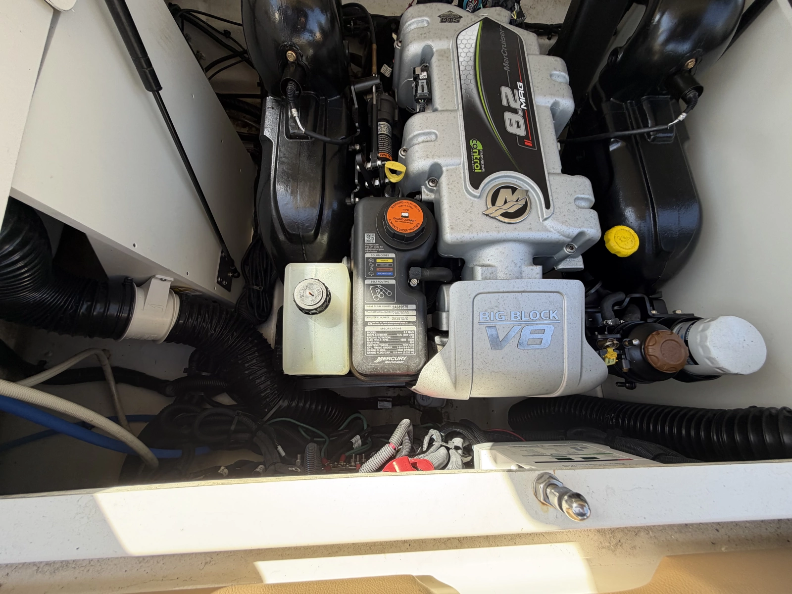 2021 Sea Ray 290 SDX