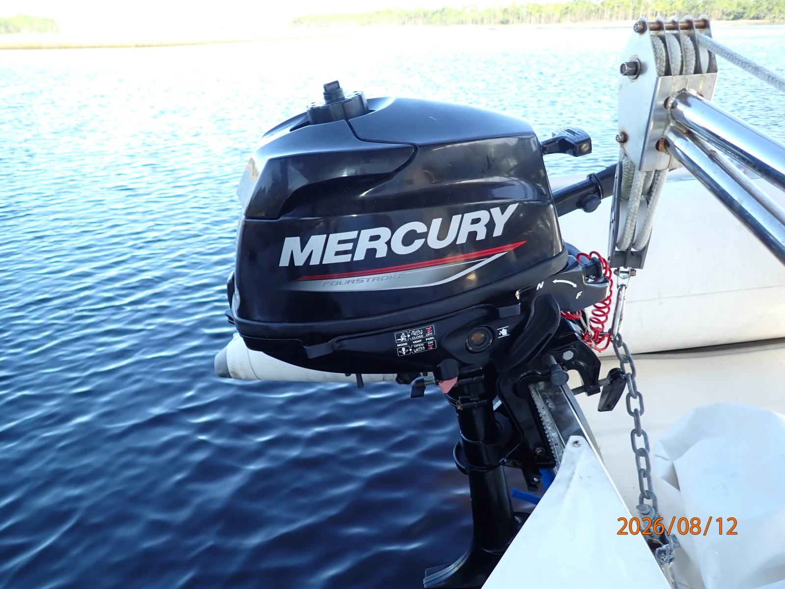 39' Mainship tender outboard