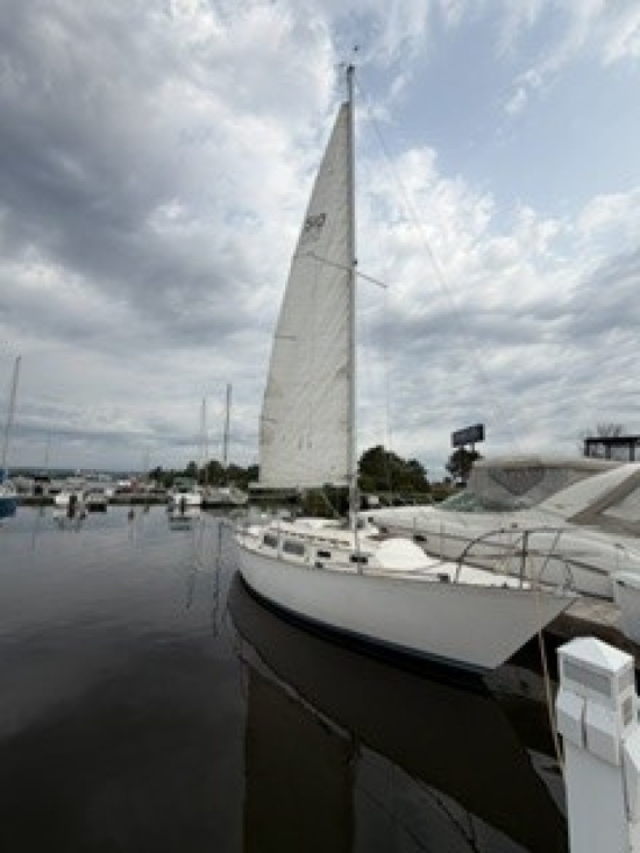 1981 Sabre 28 Series 2
