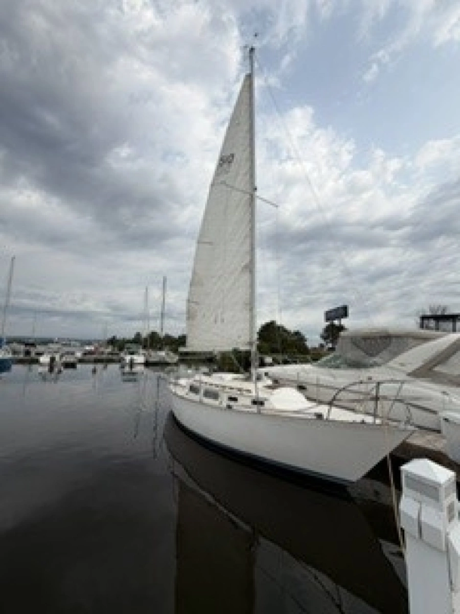 1981 Sabre 28 Series 2