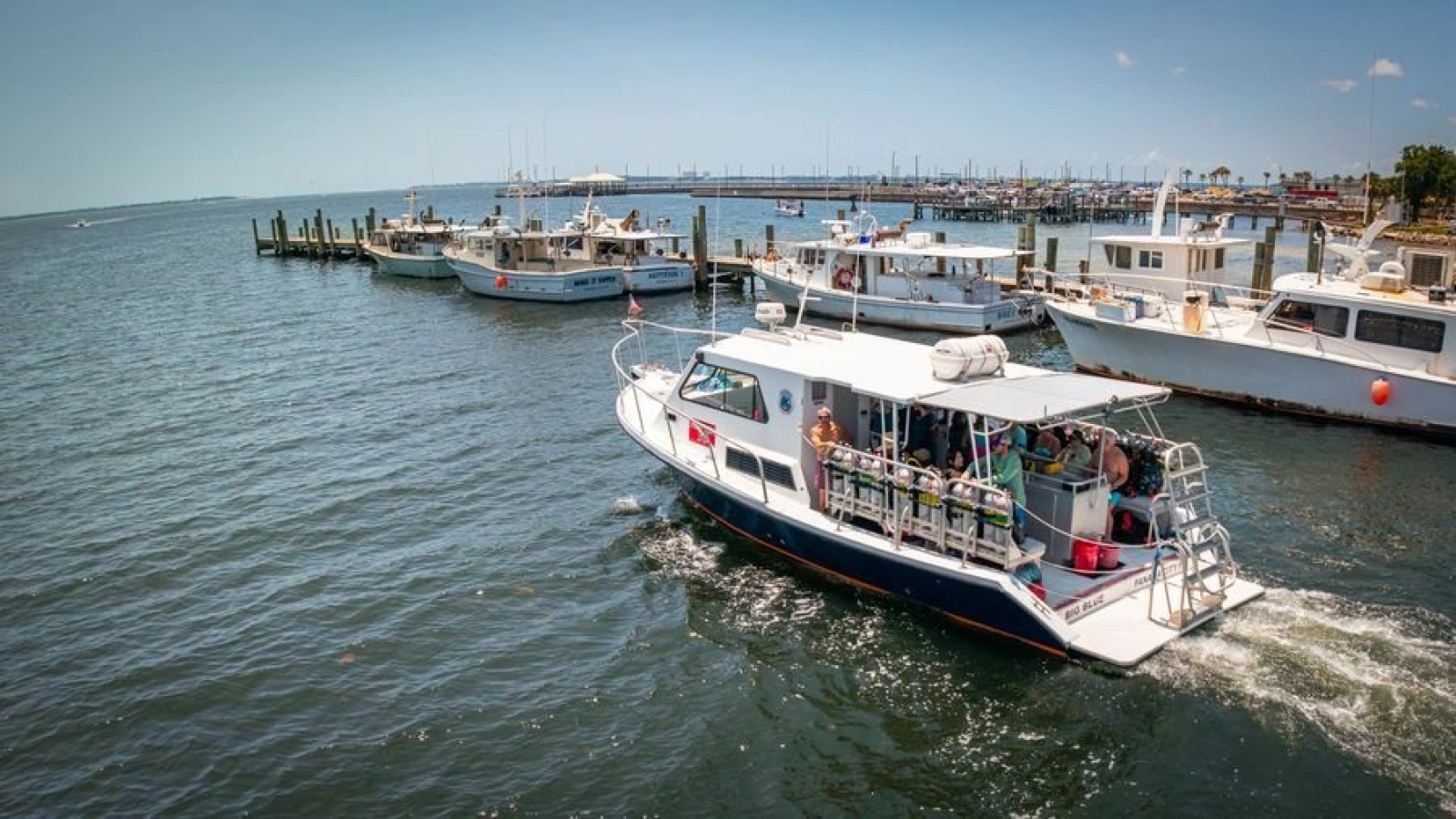 2019 Newton 36' Dive Special